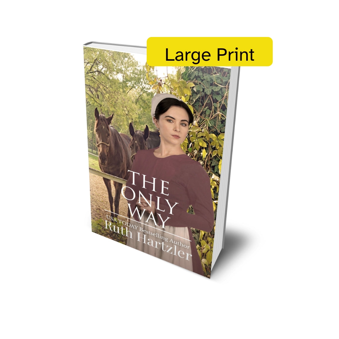 The Only Way Large Print PAPERBACK amish romance ruth hartzler