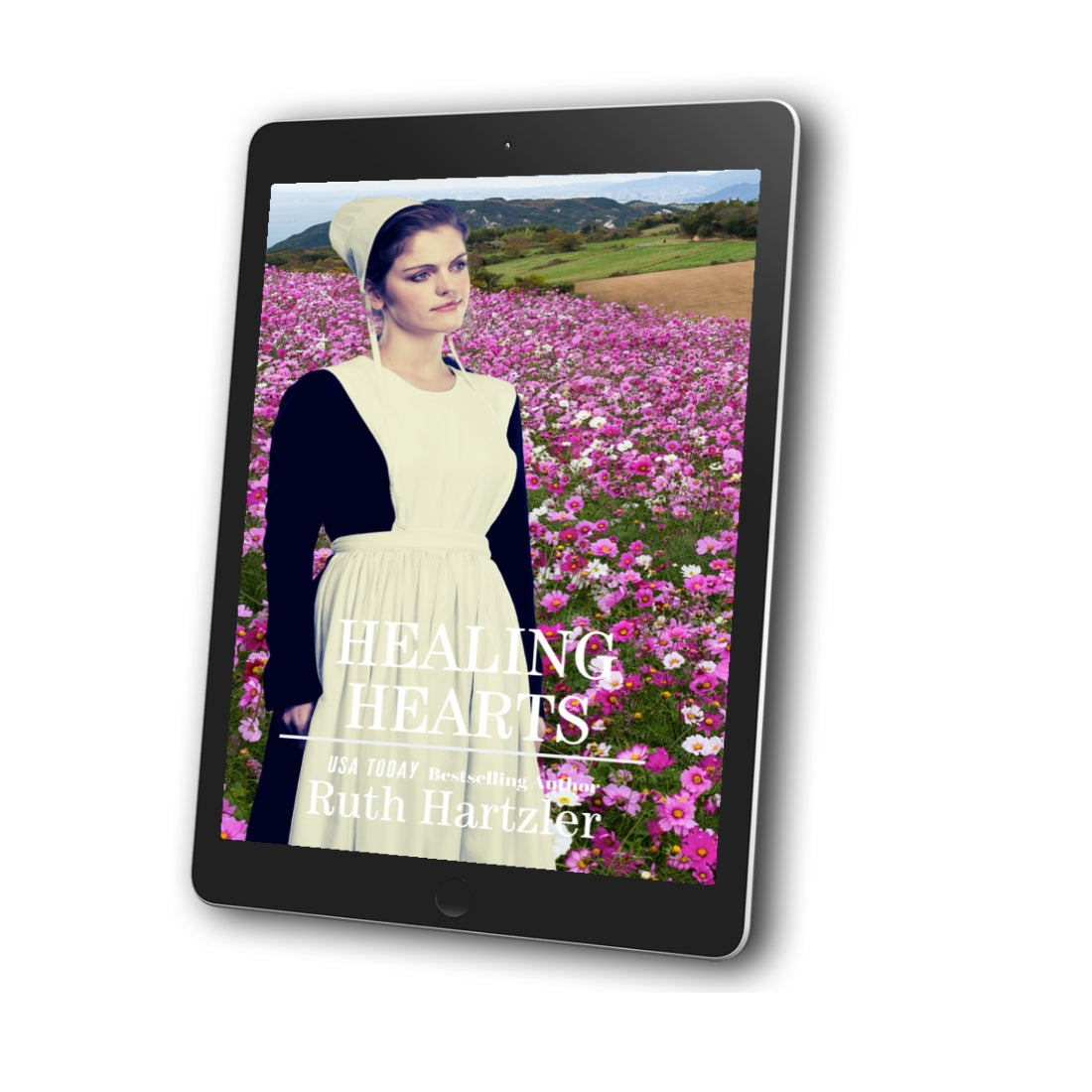 Healing Hearts EBOOK  amish romance book ruth hartzler